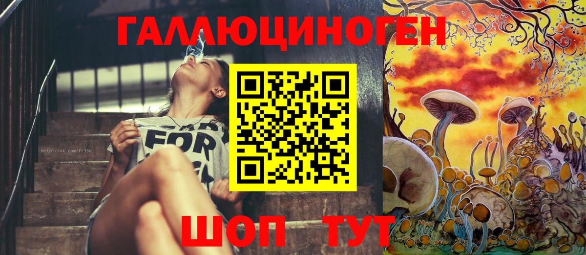 Фролово  Галлюциногенные грибы Psilocybine cubensis  Вход с VPN 